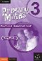 Primary Maths Practice & Homework Book 3
