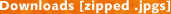 Downloads [Word]